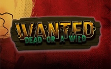 Wanted Dead or a Wild